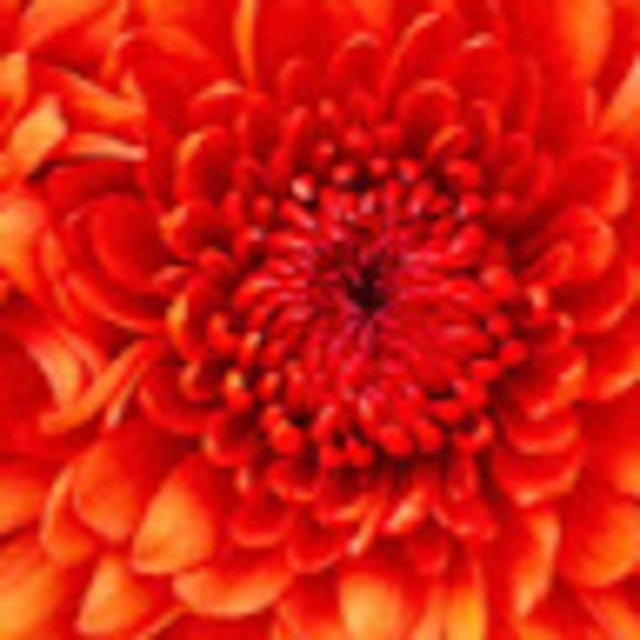 mariehughes2011